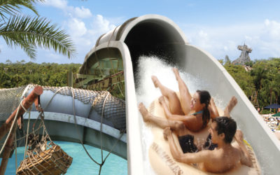 10 Questions & réponses au sujet des parcs aquatiques de Walt Disney World