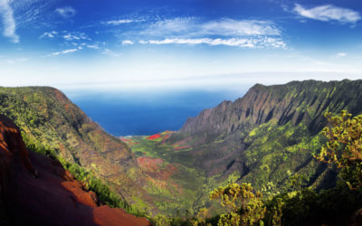 Pleins feux sur Hawaï