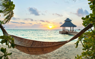 Pleins feux sur les Caraïbes
