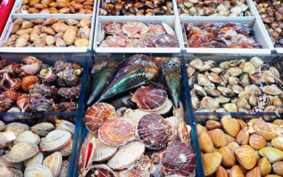 Navigating Korea’s Cultural Capital