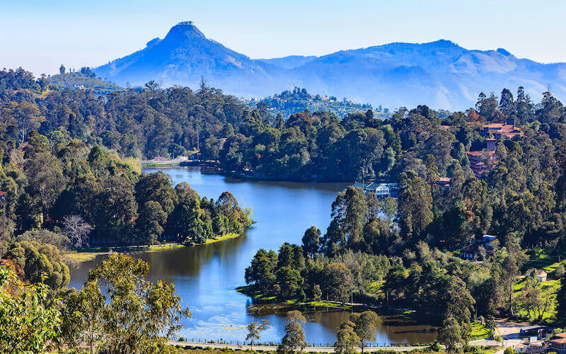 Kodaikanal - Palani Hills - India