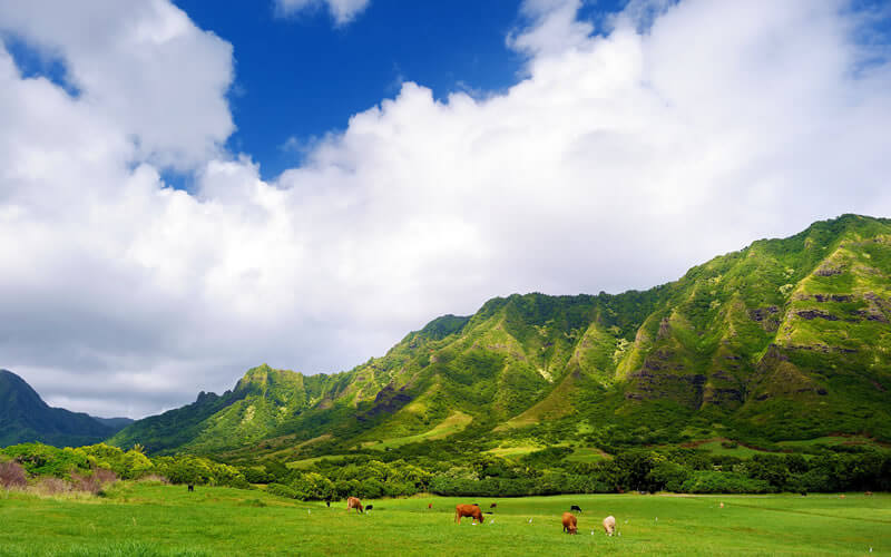 Kualoa Ranch - Oahu