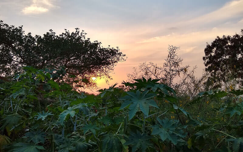 Kyambura Gorge - Uganda