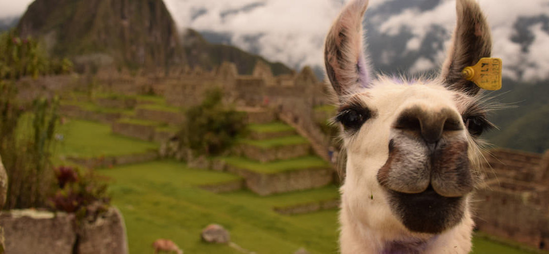 Comment tirer le maximum de son voyage au Machu Picchu