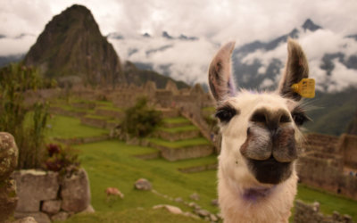 How to Make the Most of Your Machu Picchu Vacation