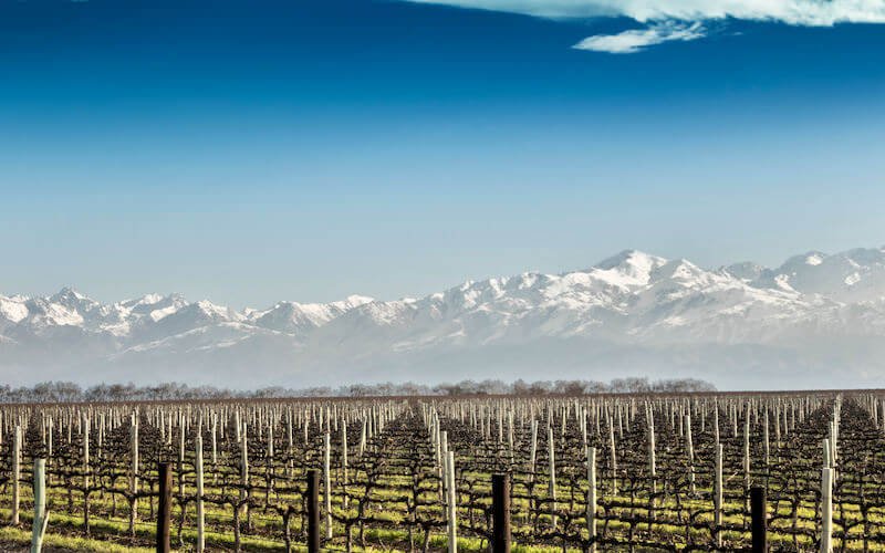 Mendoza - Argentina