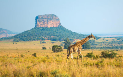 andBeyond Presents: Caring for the African Community and the Environment