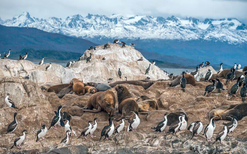 Tierra del Fuego - Argentina