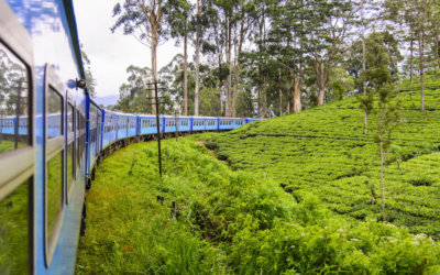 Backpacking North India in Style