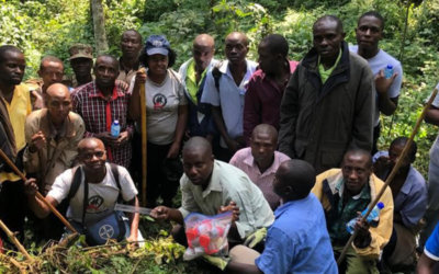 Meet the Communities Keeping Uganda’s Mountain Gorillas Safe