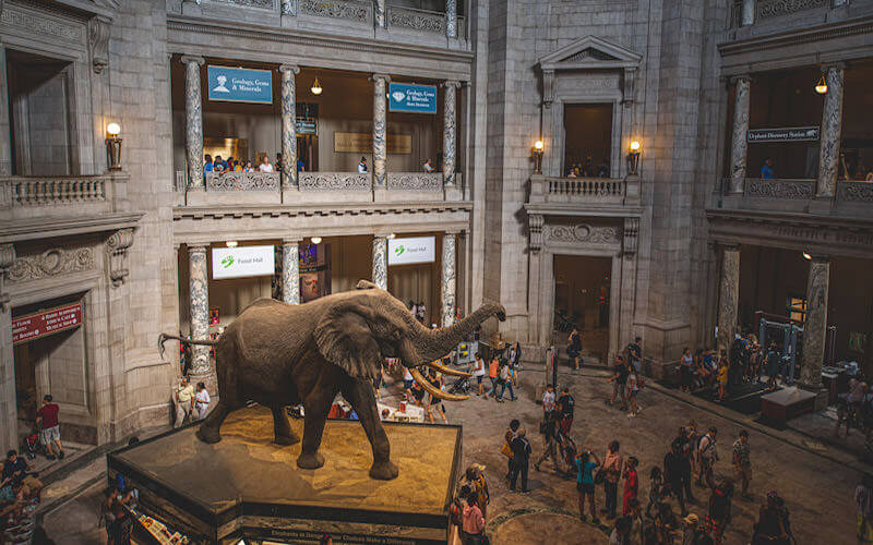 Smithsonian National Museum of Natural History - Washington D.C. - USA