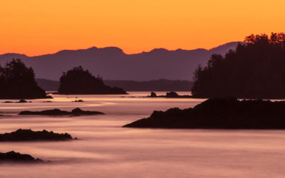 Discover Beauty in Your Own Backyard