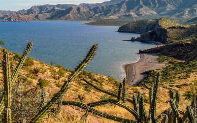 Road Trip through Baja California Sur