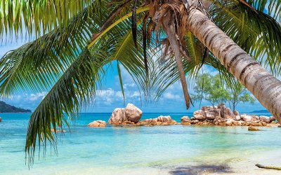 5 Caribbean Islands to Visit This Summer
