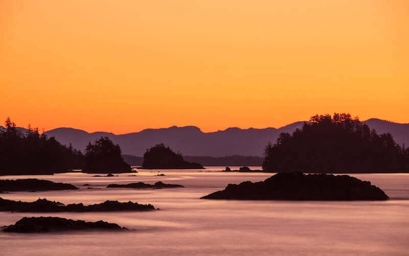 Découvrez la beauté dans votre propre jardin