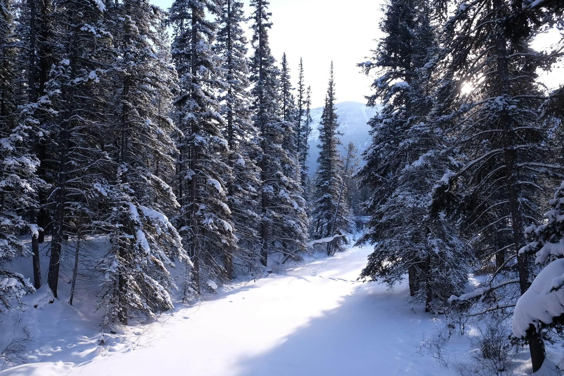 Chemin - Sun Peaks - Canada