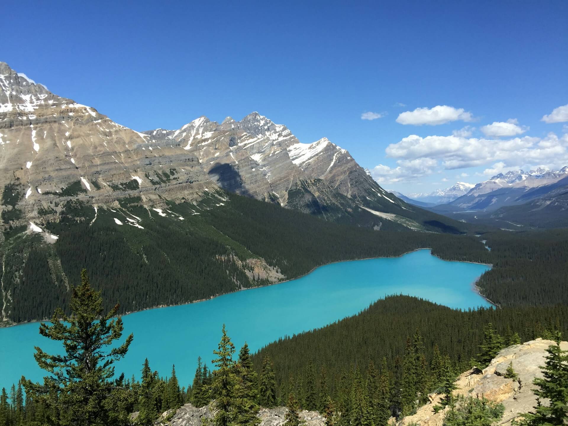 Lac Peyto - Jasper - Alberta