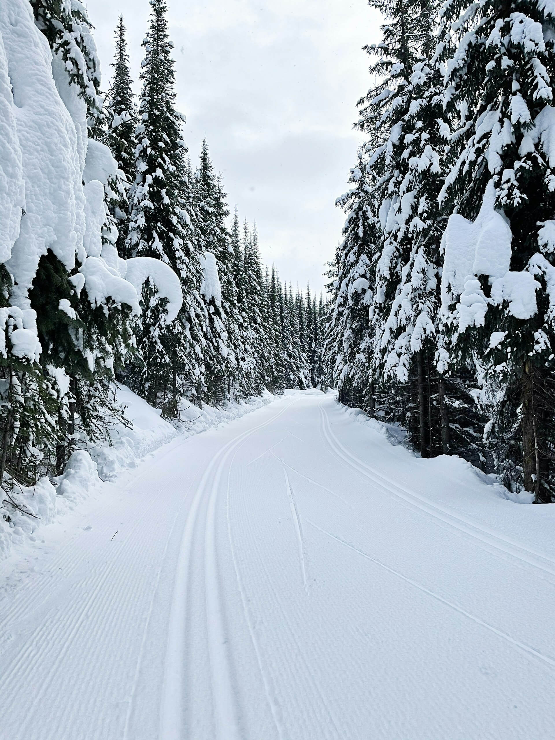 Ski de fond - Sun Peaks