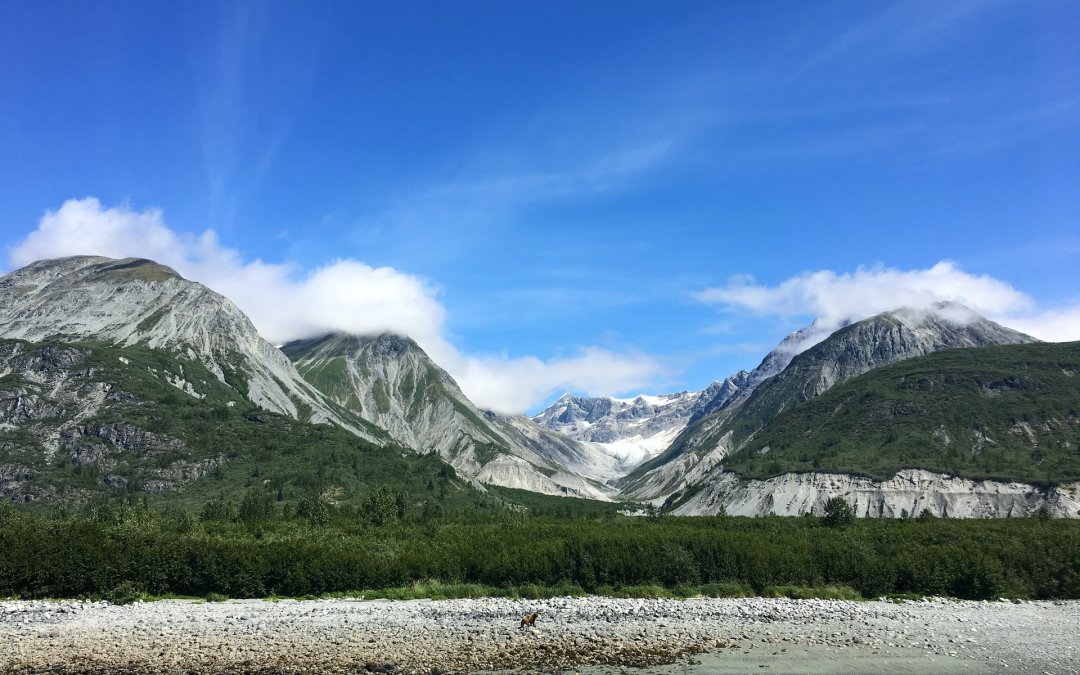 Alaska Fjords and Glaciers