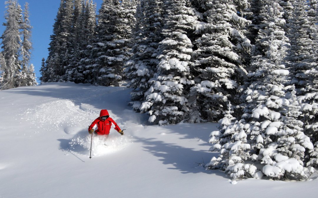 Jasper: Ski Marmot Basin