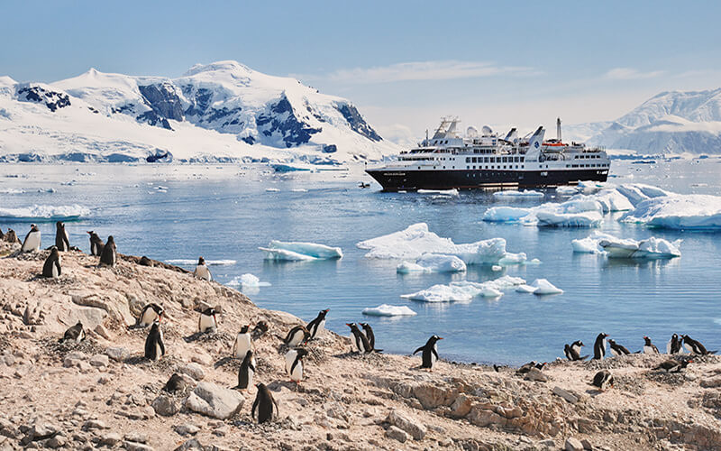 10 Raisons Pour Lesquelles Vous Devriez Envisager un Voyage en Expédition