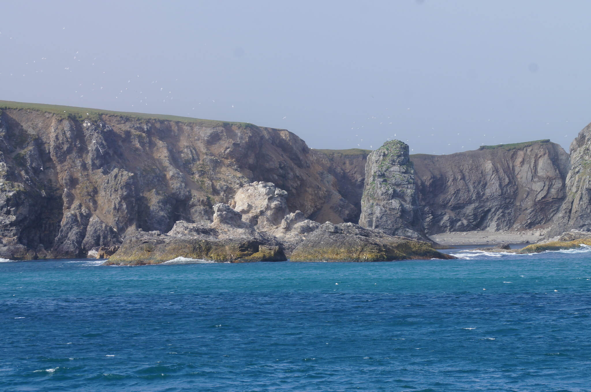 Bear Island - Svalbard