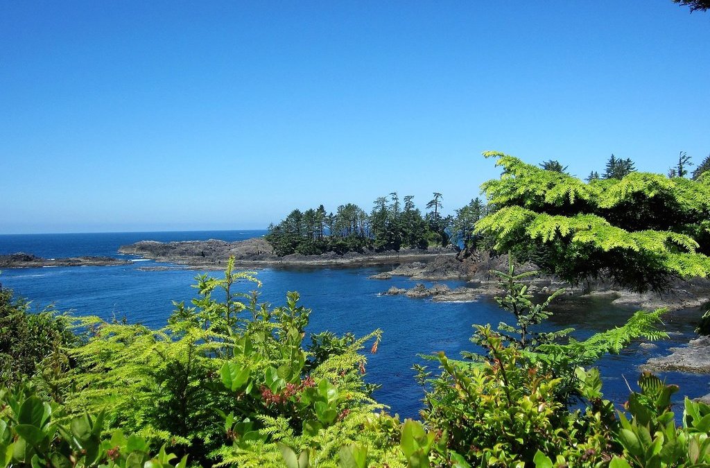 On the roads of Vancouver Island