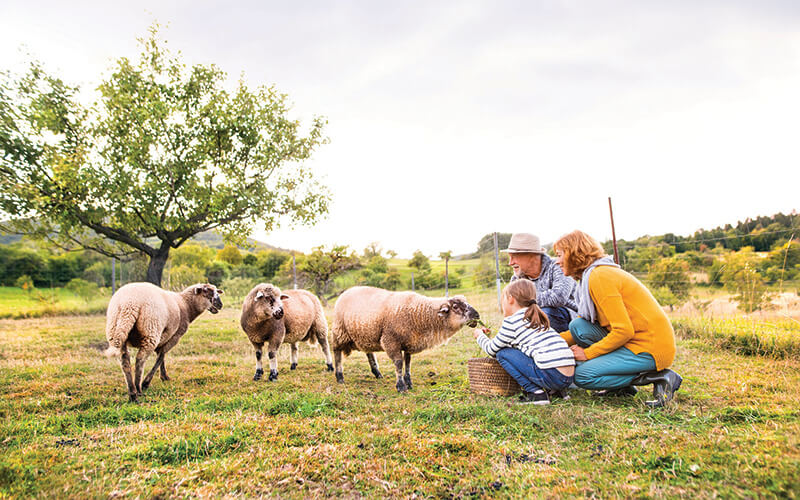 Pursuing Privacy with CIE Tours