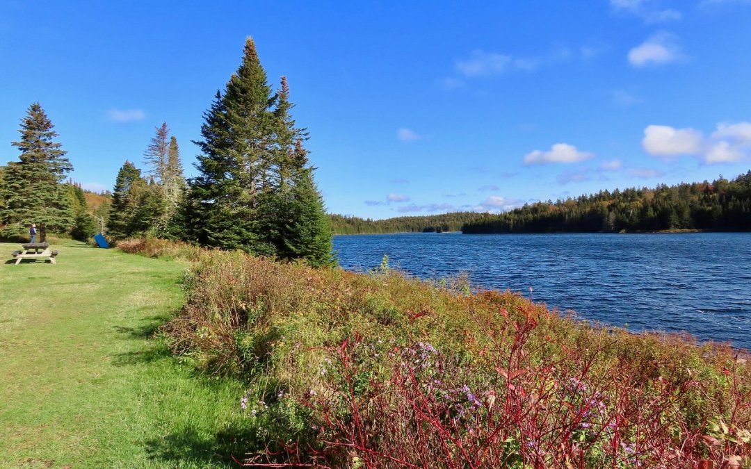 Discovery of New Brunswick