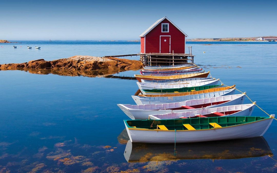 The Natural Wonders of Newfoundland and Labrador