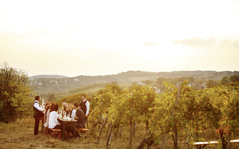 5 Pays à l&rsquo;Avant-garde du Voyage Durable