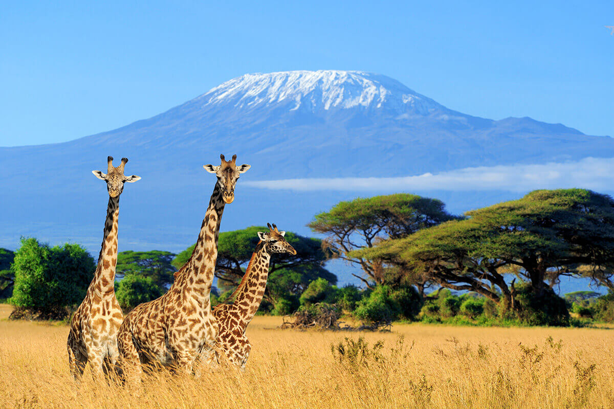 Mount Kilimanjaro - Tanzania