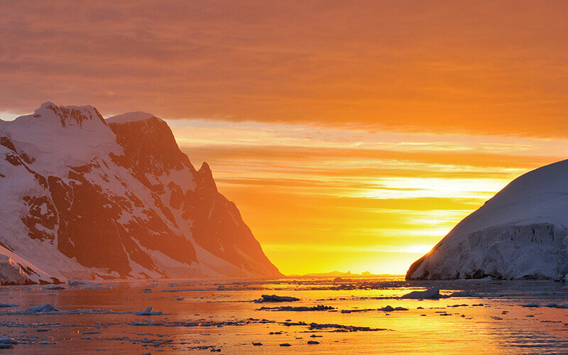 Les 5 Meilleures Raisons de Visiter l&rsquo;Antarctique en Été