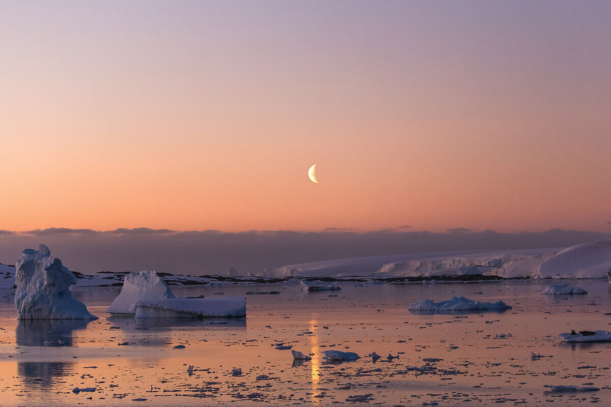 Icebergs - Antarctique