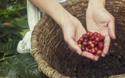 Five Gifts that Show Gratitude to the World