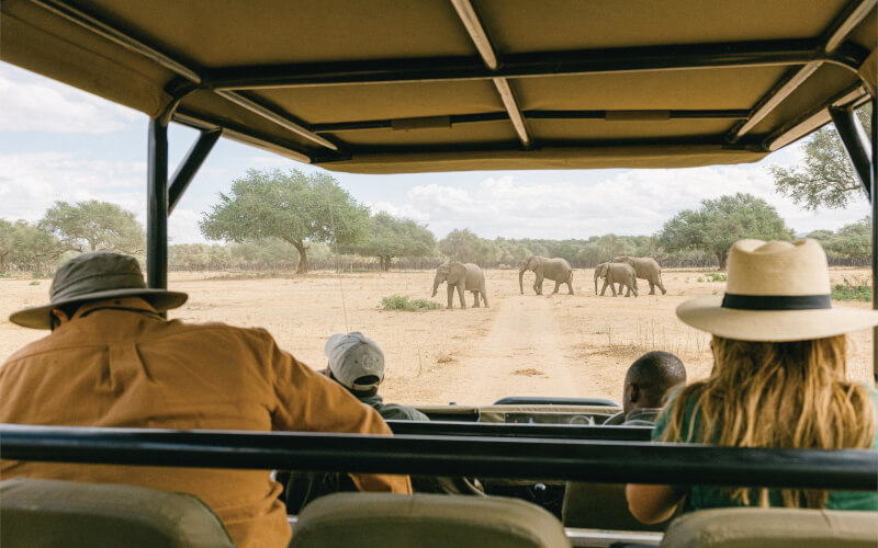 Parc national du Bas-Zambèze