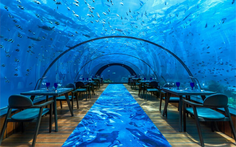 Dive into the Maldives