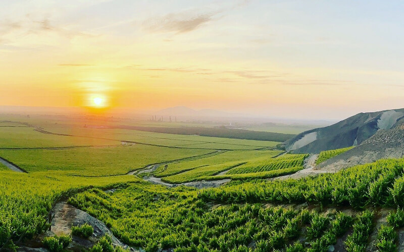 In the Valley of the Sun