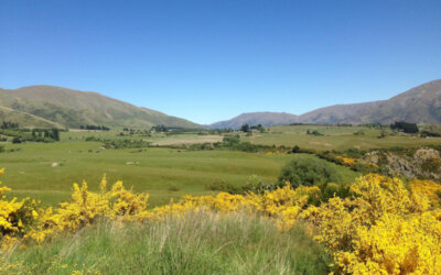 Un Festin dans la Ferme d’une Chef Célèbre